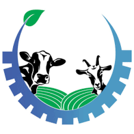 Kimd Group Of Companies